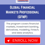 Global Financial Markets Professional (GFMP)